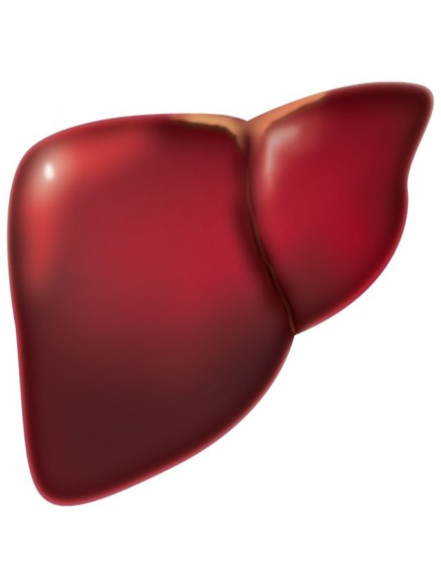 Lifestyle changes that can help in fatty liver disease.