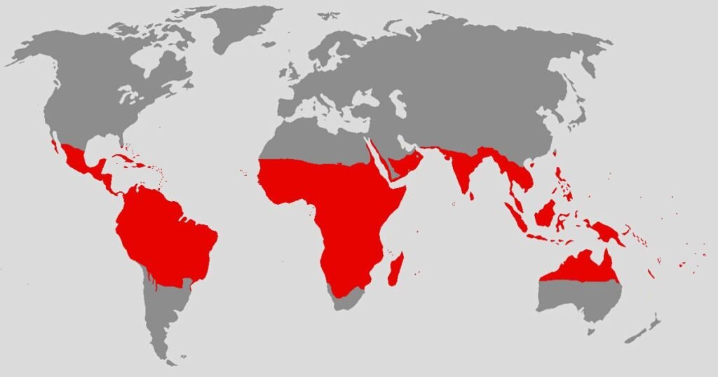 High-risky areas for getting malaria.