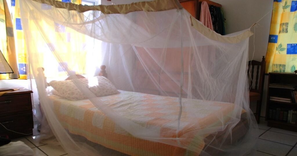 prevention of bed net