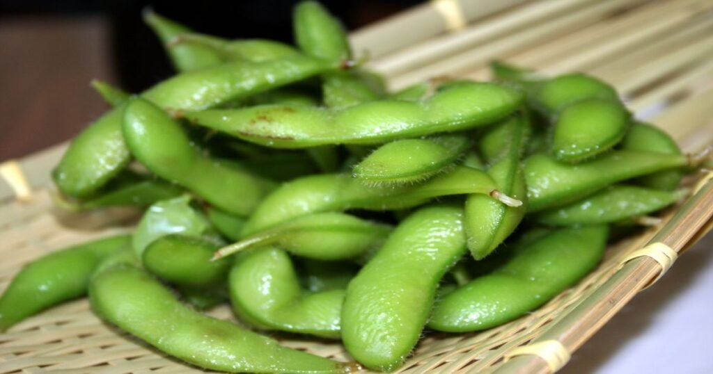 "A bowl of steamed edamame."