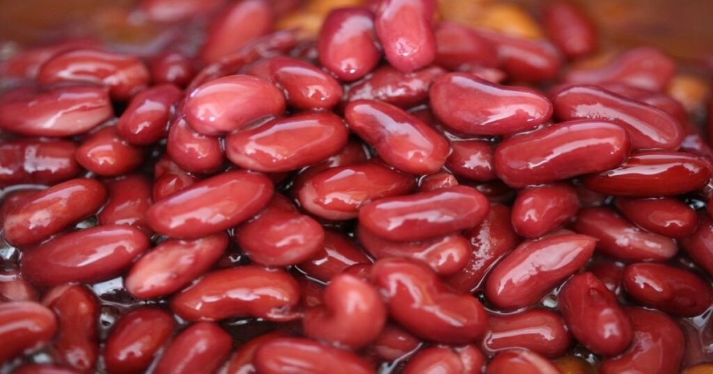 A bowl filled with kidney bean chili garnished with cilantro.