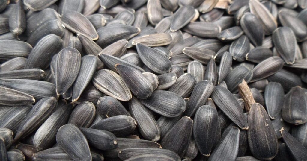  A small bowl filled with roasted sunflower seeds.