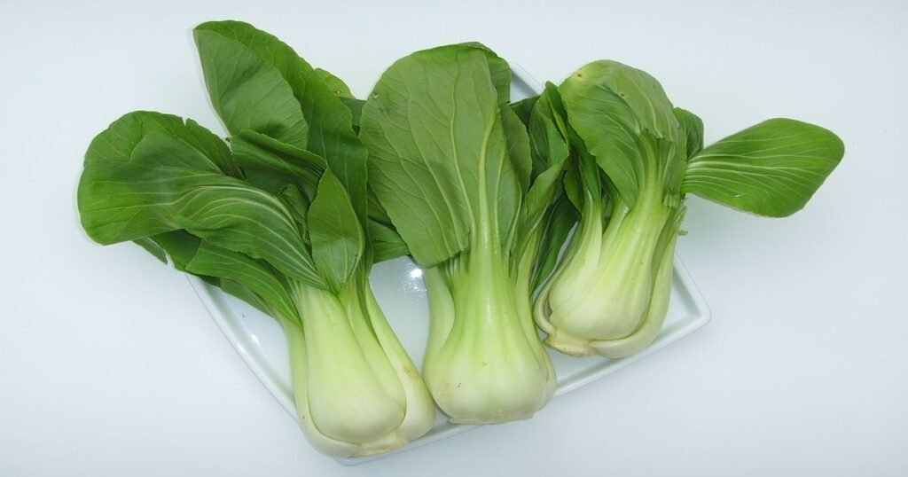 "Bok choy served on a plate"