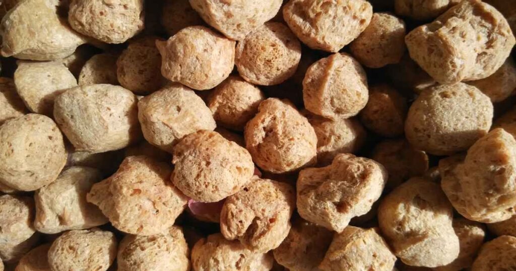 Soya Chunks